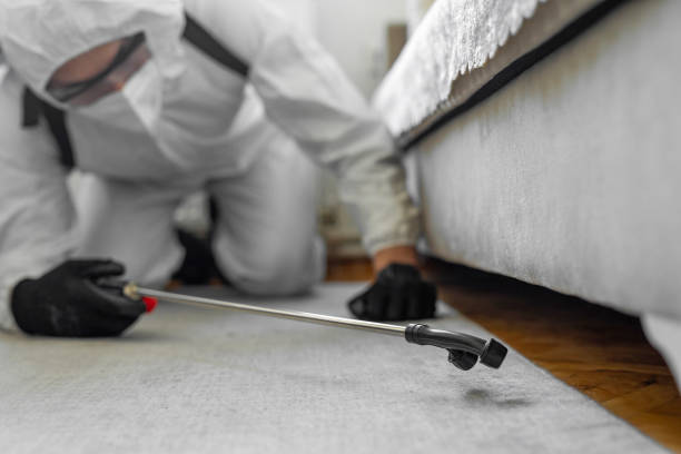 Professional Bed Bug Control technician working in Palm Beach Gardens, FL