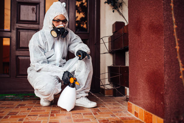Reliable Bed Bug Control contractor in Palm Beach Gardens, FL by Nex Pest Control