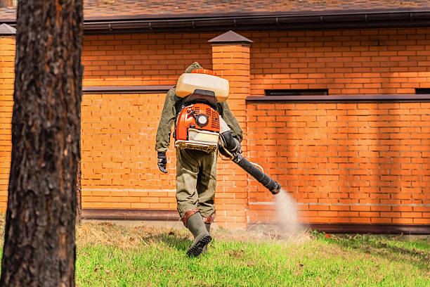 Trusted Mosquito Control service in Palm Beach Gardens, FL - Nex Pest Control